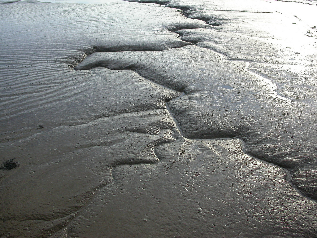 Muddy water. Дайкаст. Mud. Rubble.